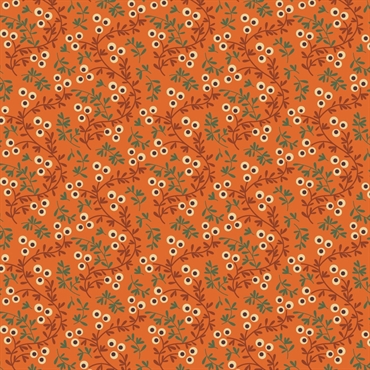 EQP Patchworkstof - Seaberry - Carrot