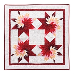 Accuquilt Prairie Star  55540 eksempel