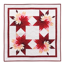 Accuquilt Prairie Star  55540 eksempel