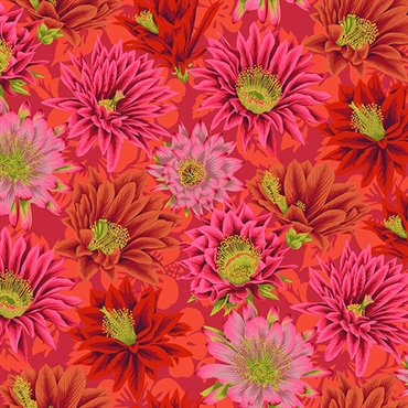 Kaffe Fassett Patchworkstof - Cactus flower - Red